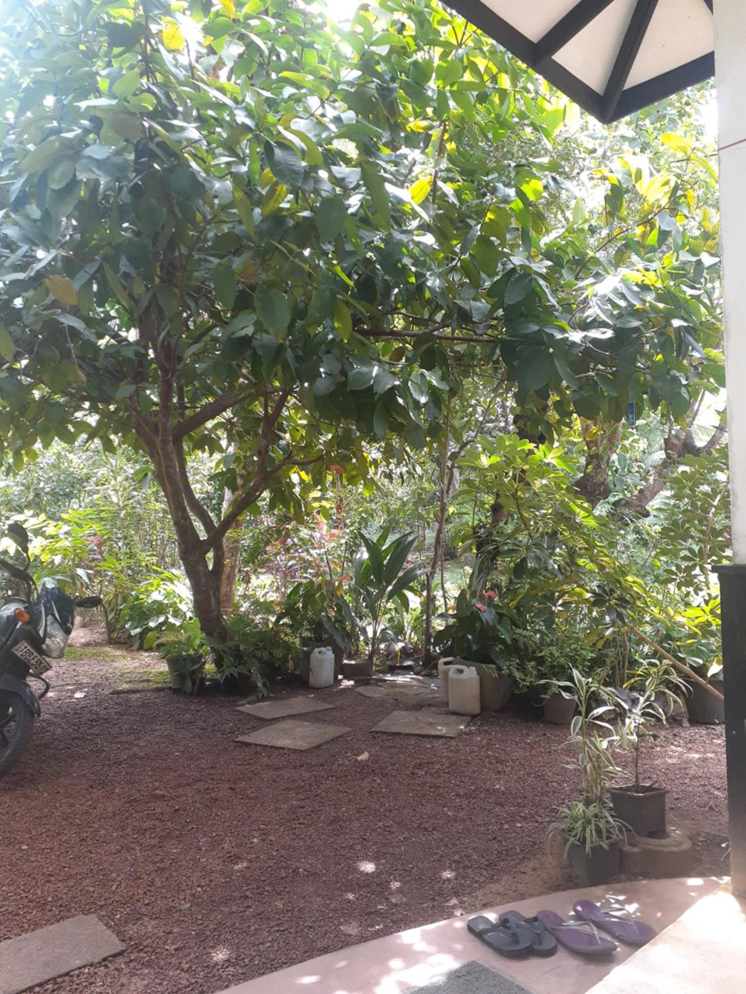 Villa Kosgoda Apartment *